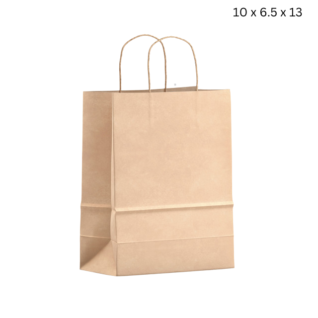 10 x 6.5 x 13 Paper Bag with Handle