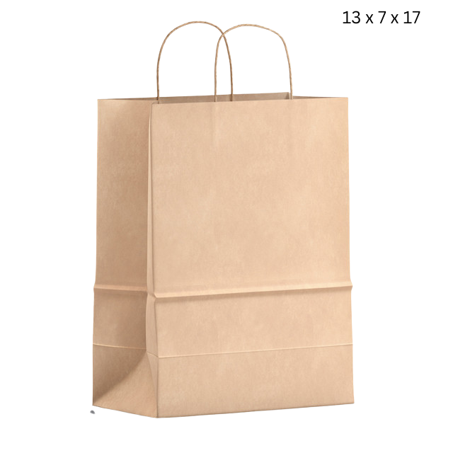 13x 7 x 17 Paper Bag with Handle