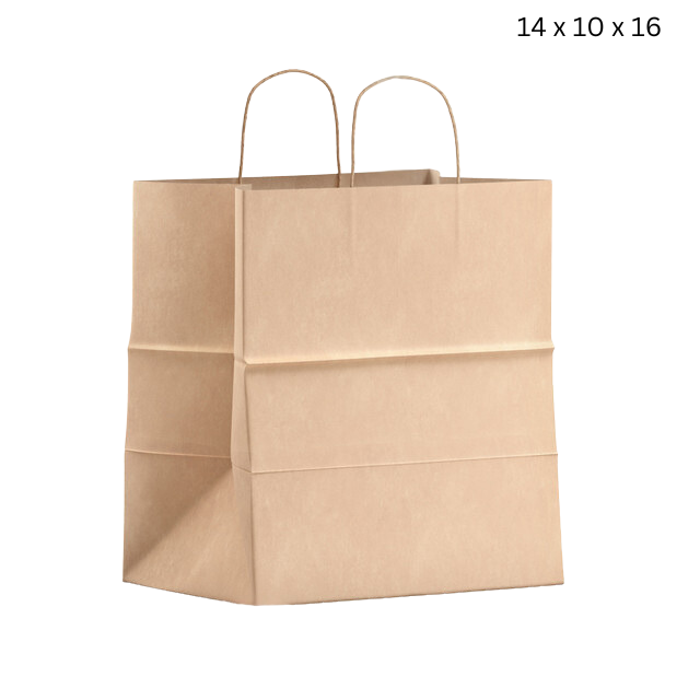 14 x 10 x 16 Paper Bag with Handle